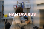 Hantavirus en Bariloche: confirmaron la cepa Andes