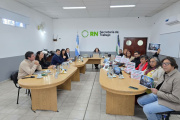 Paritarias en Río Negro: Weretilneck busca sostener salarios y desactivar los conflictos