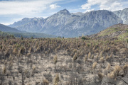 Los últimos ovejeros de Chubut: sequía, pumas y crisis lanera vacían la meseta