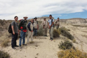 Descubren en Río Negro una palmera fósil de 20 millones de años