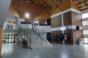 Padres frenarán las clases por murciélagos en una escuela de Roca