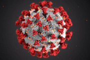 Alerta científica: la falta de control en virus amenaza con otra pandemia