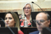 PASO: una senadora de Chubut propone mantener las primarias, pero con cambios