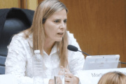 Legisladora de la libertad avanza presentó un proyecto en Río Negro para los endeudados de la Provincia